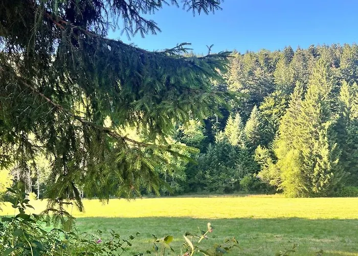 Renovated 2 Apartmán